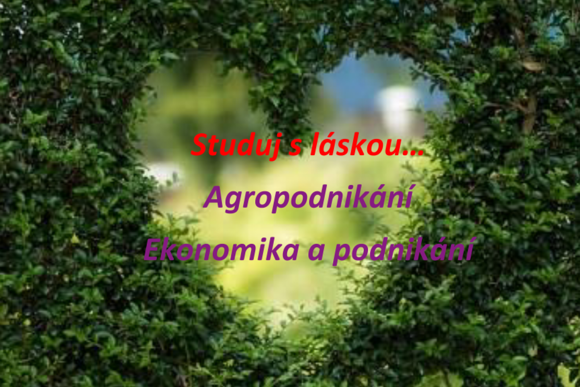 Studuj s láskou 1.PNG