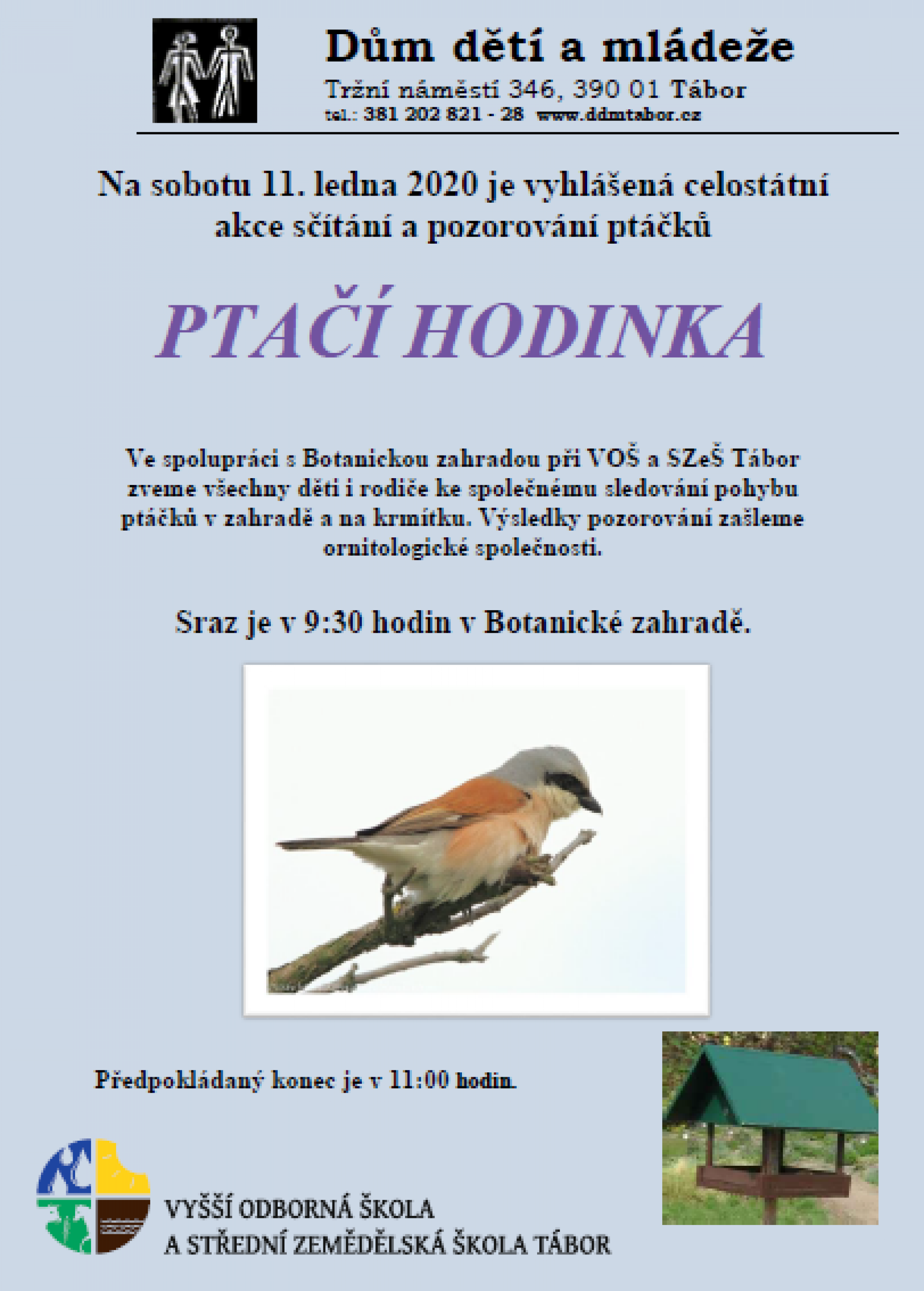 Ptaččí hodinka_obrázek.png